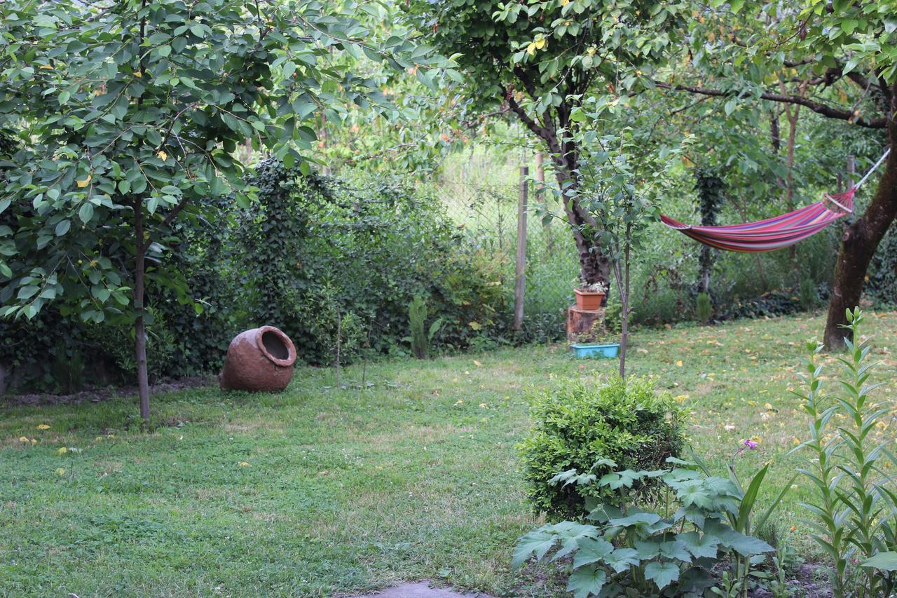 La Deka Guesthouse Lagodekhi Zewnętrze zdjęcie