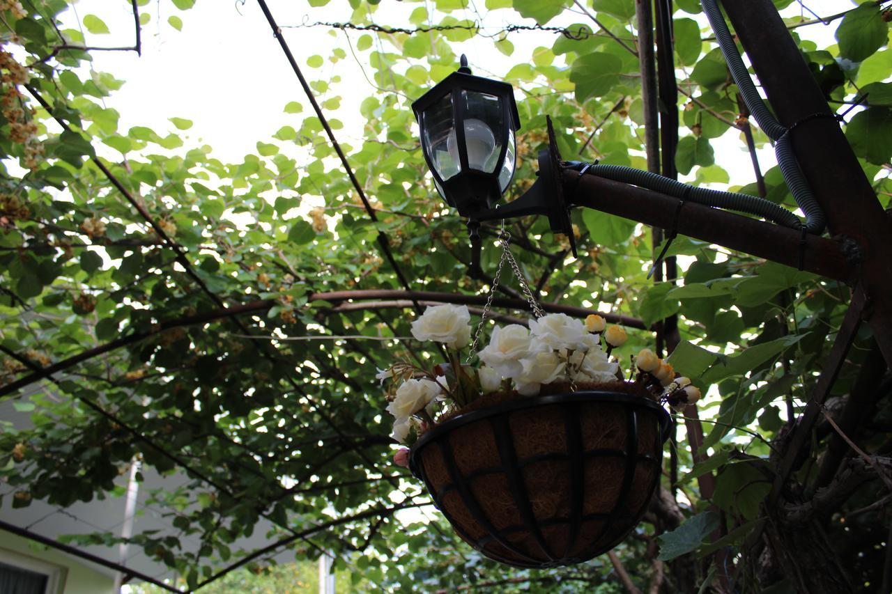 La Deka Guesthouse Lagodekhi Zewnętrze zdjęcie