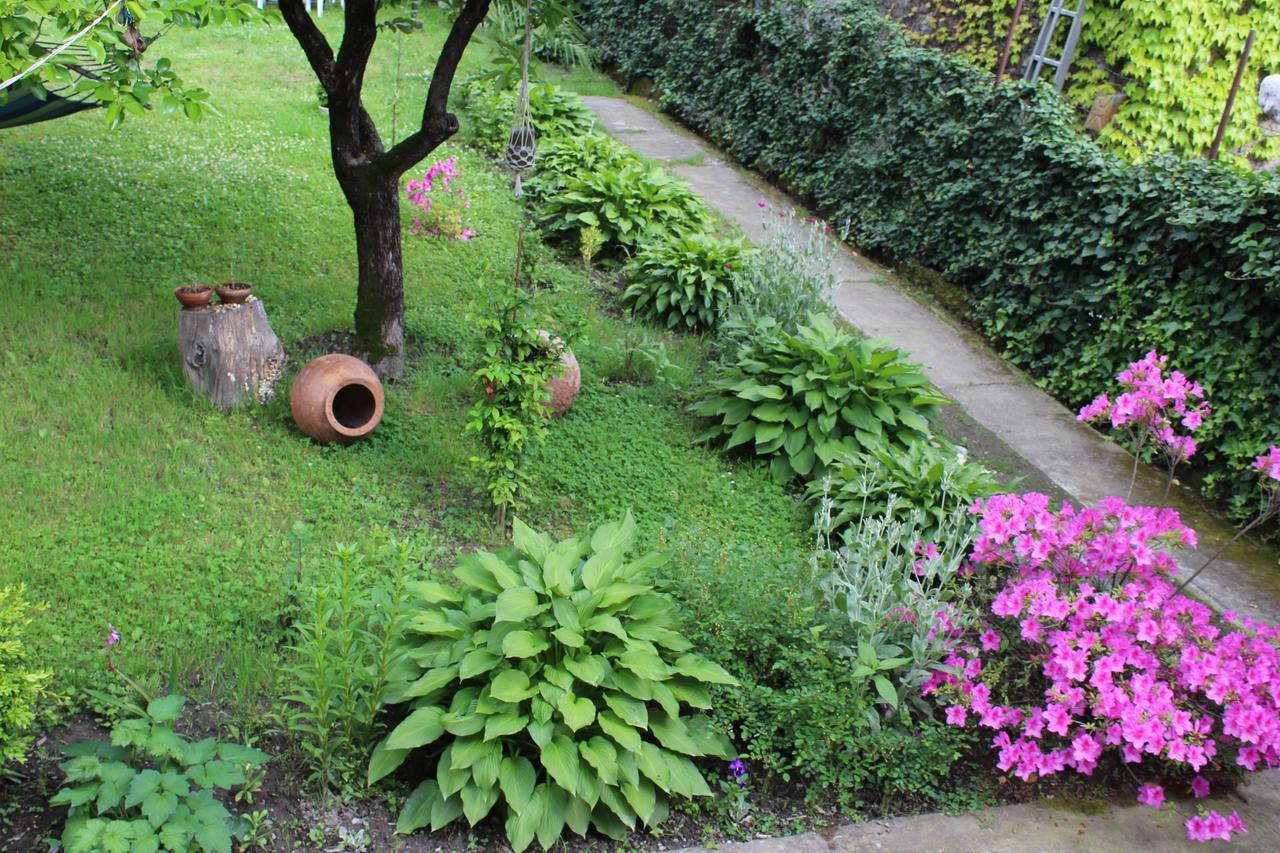 La Deka Guesthouse Lagodekhi Zewnętrze zdjęcie