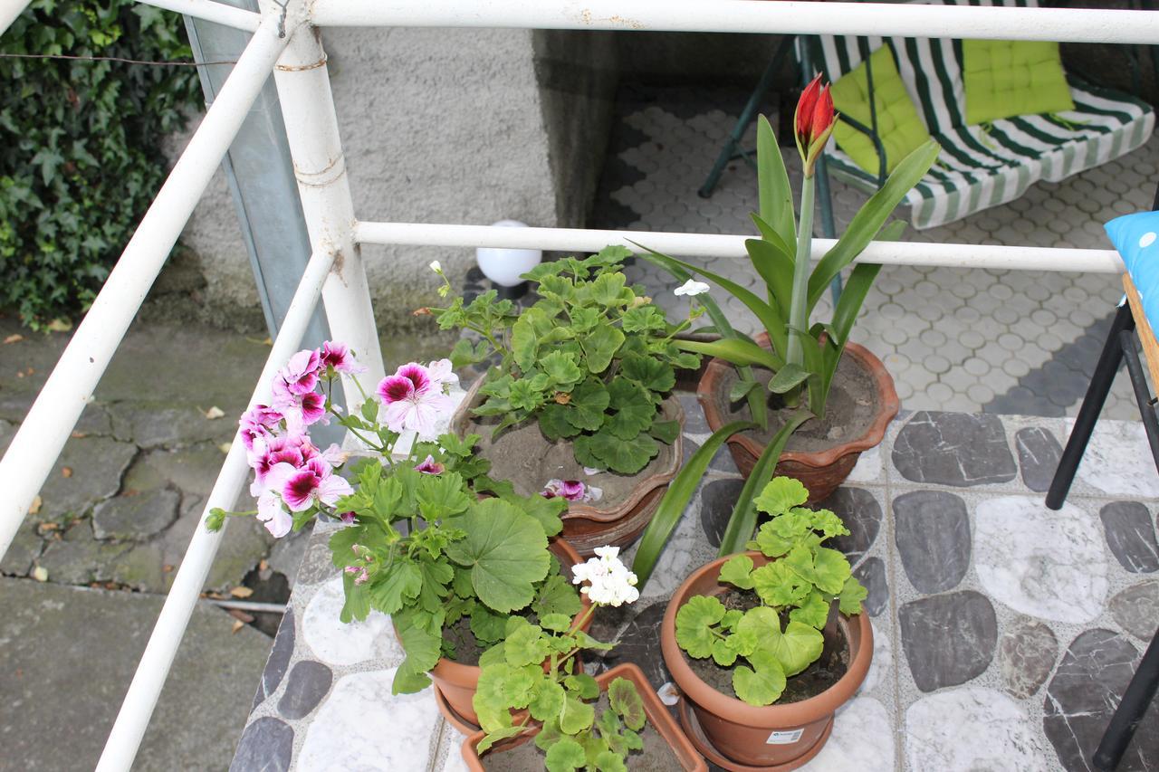 La Deka Guesthouse Lagodekhi Zewnętrze zdjęcie