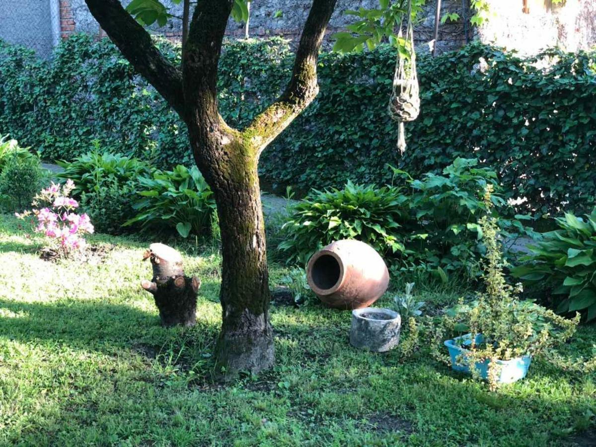 La Deka Guesthouse Lagodekhi Zewnętrze zdjęcie